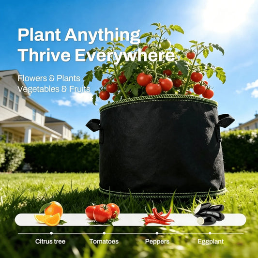 🌱 Heavy Duty Aeration Fabric Pots – Professional Grade Grow Bags with Handles for Vegetables, Flowers & Fruits -Bestseller