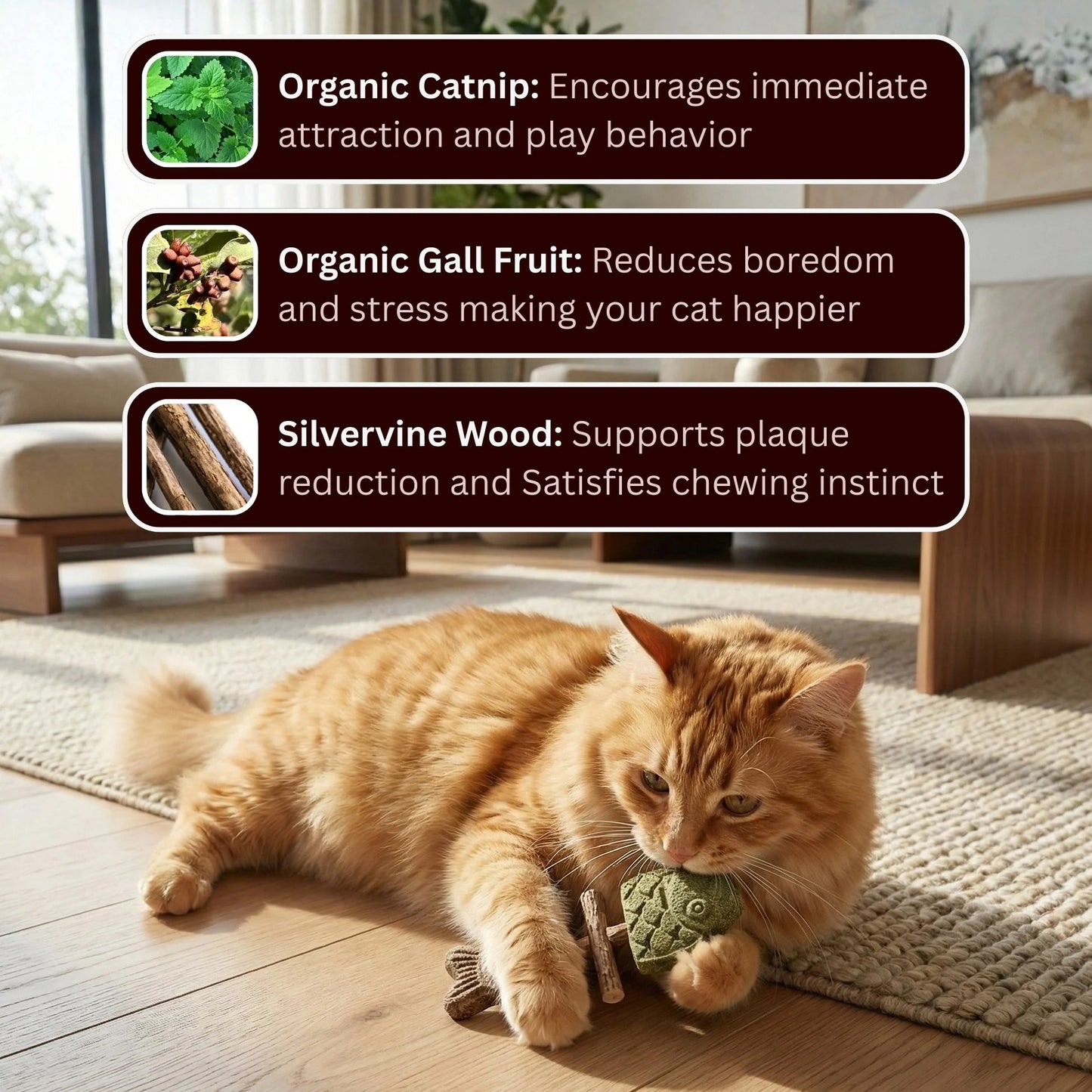 🐈🐟Treat Your Kitty to the Best!🌿 Catnip & Silvervine Chew🐱❤️‍🔥-Elite