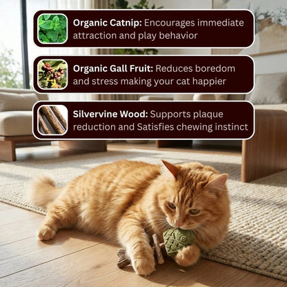 🐈🐟Treat Your Kitty to the Best!🌿 Catnip & Silvervine Chew🐱❤️‍🔥-Elite