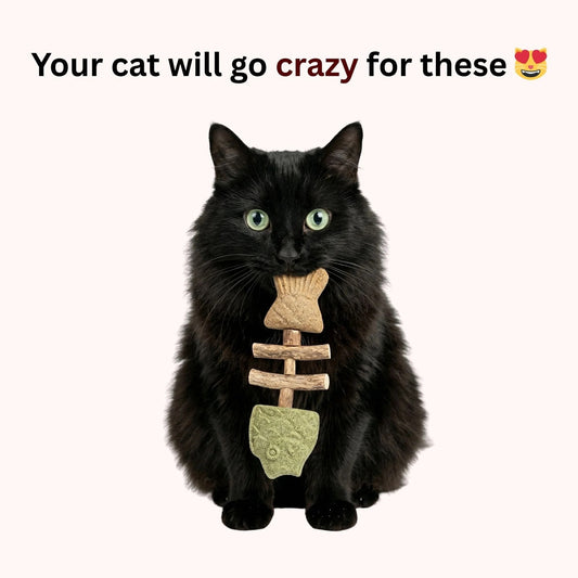 🐈🐟Treat Your Kitty to the Best!🌿 Catnip & Silvervine Chew🐱❤️‍🔥-Elite